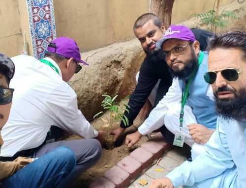 Muhhiban Karachi Plantation Campaign