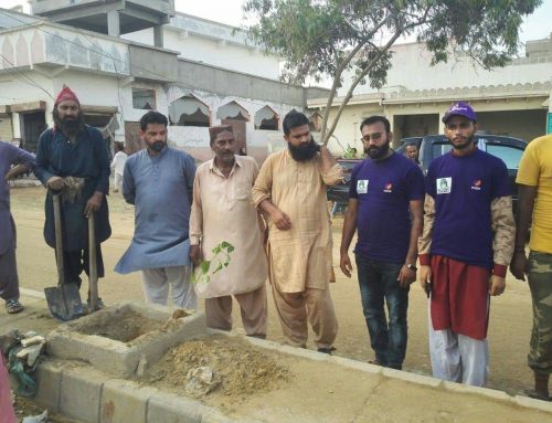 Sir Sabz Karachi Program (Green Sindh Project) District West