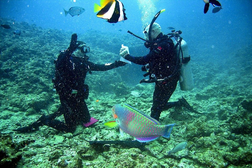 scuba